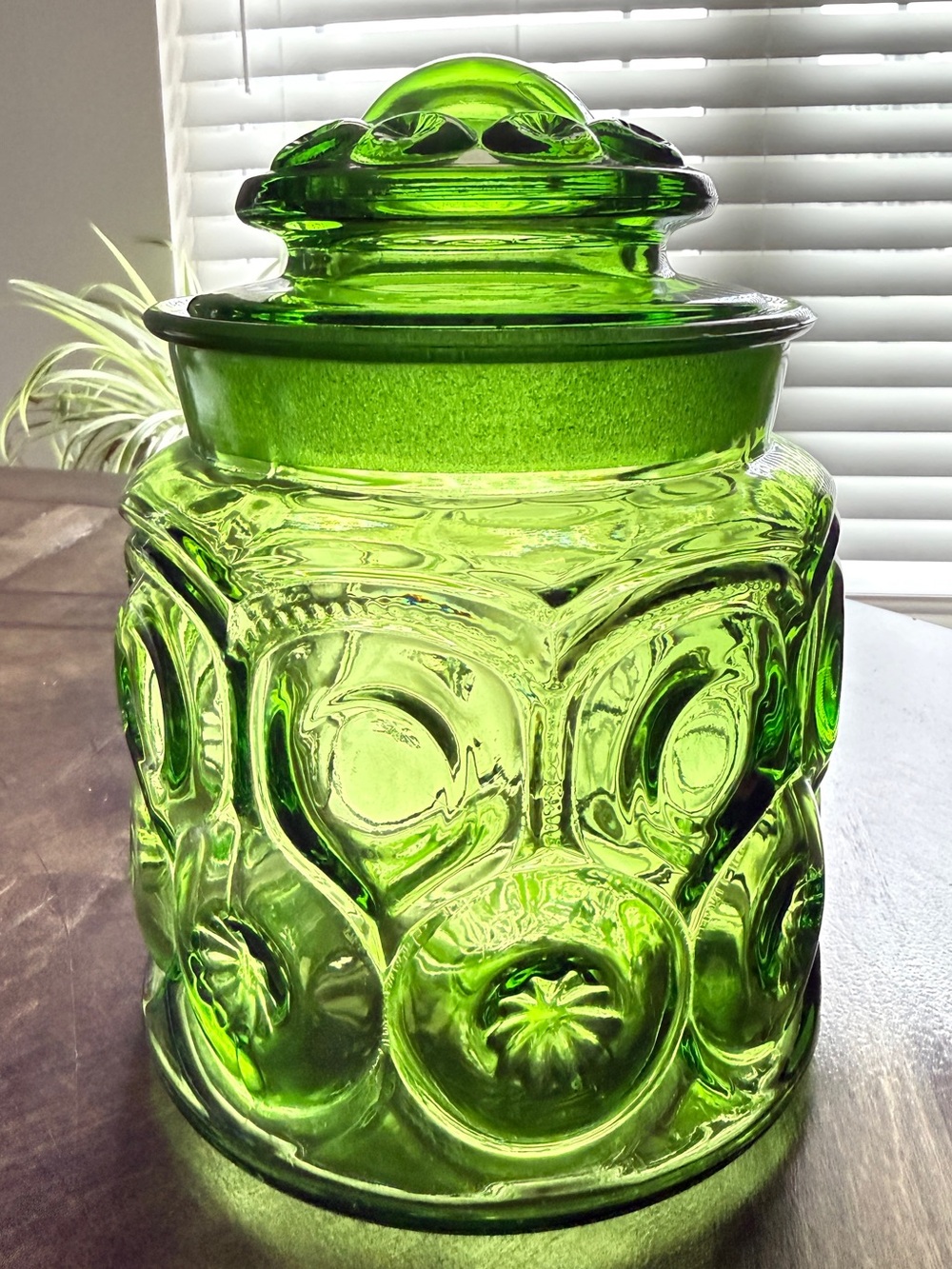 LE Smith Moon and Stars, Green~Medium Canister with lid.